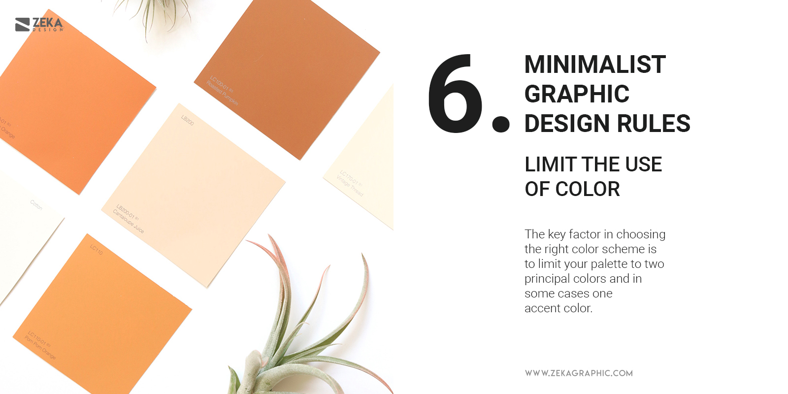 6 Minimalist Graphic Design Rules Color Palette