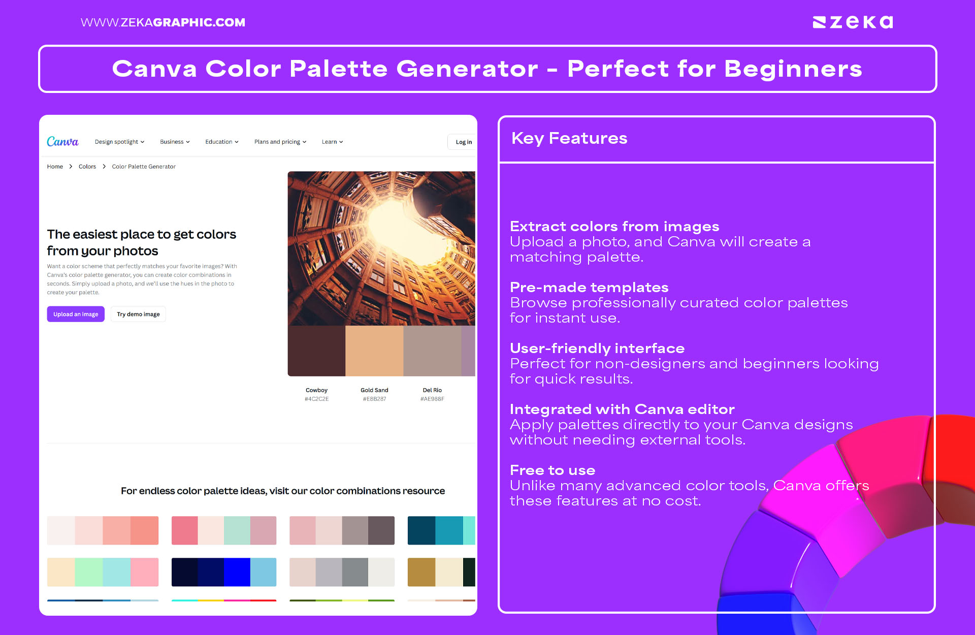 Canva Color Palette Generator – Perfect for Beginners