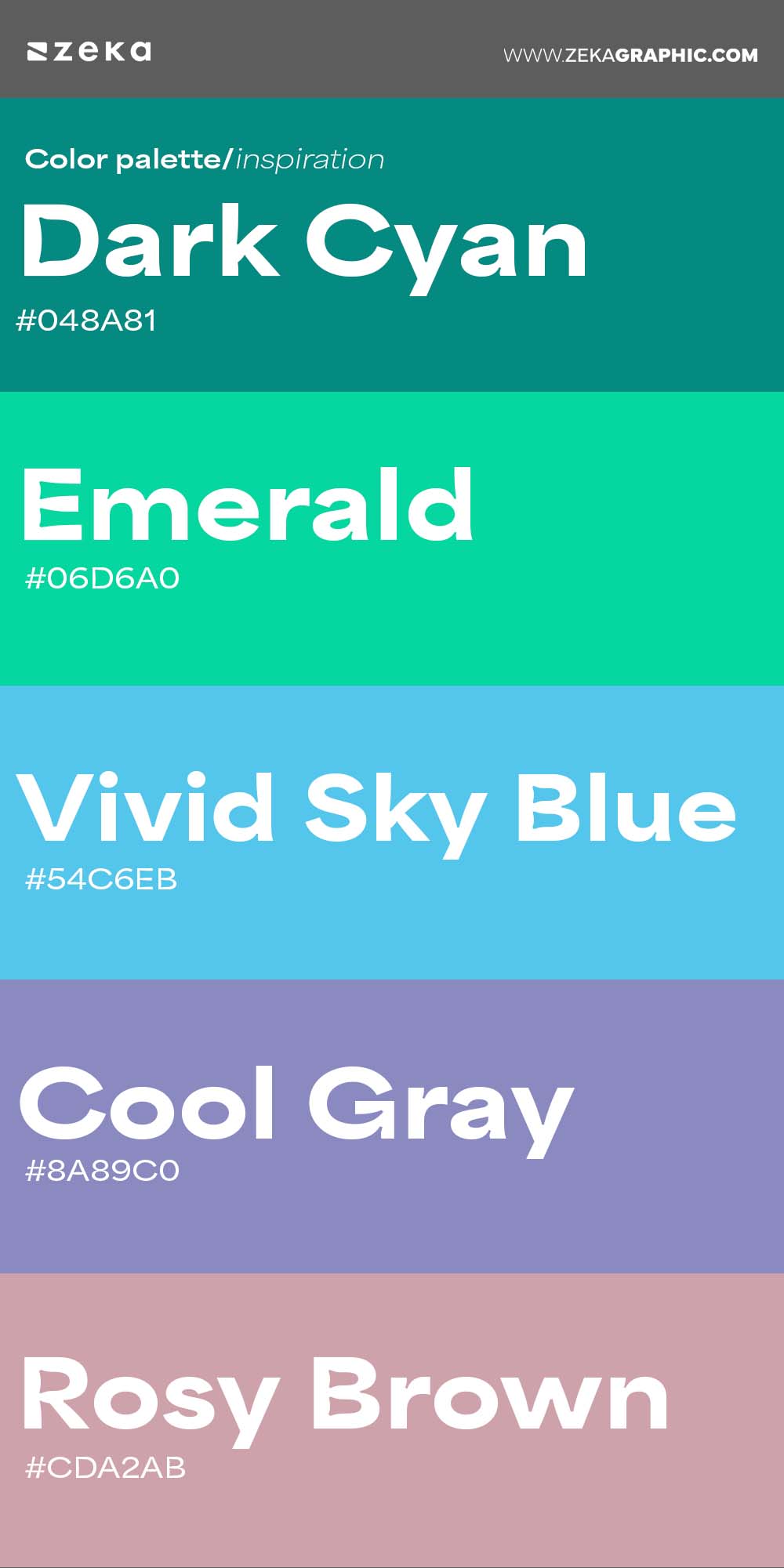 Color Palette Inspiration 12 #048A81 #06D6A0 #54C6EB #8A89C0 #CDA2AB