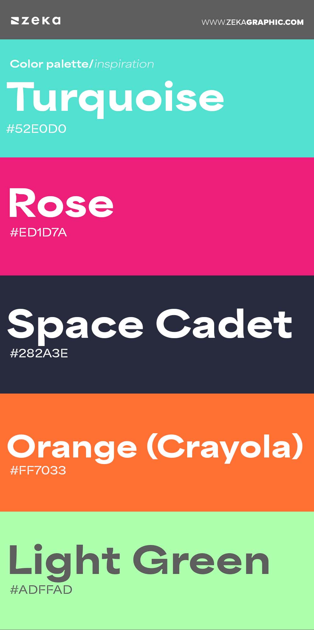 Color Palette Inspiration 19 #52E0D0 #ED1D7A #282A3E #FF7033 #ADFFAD