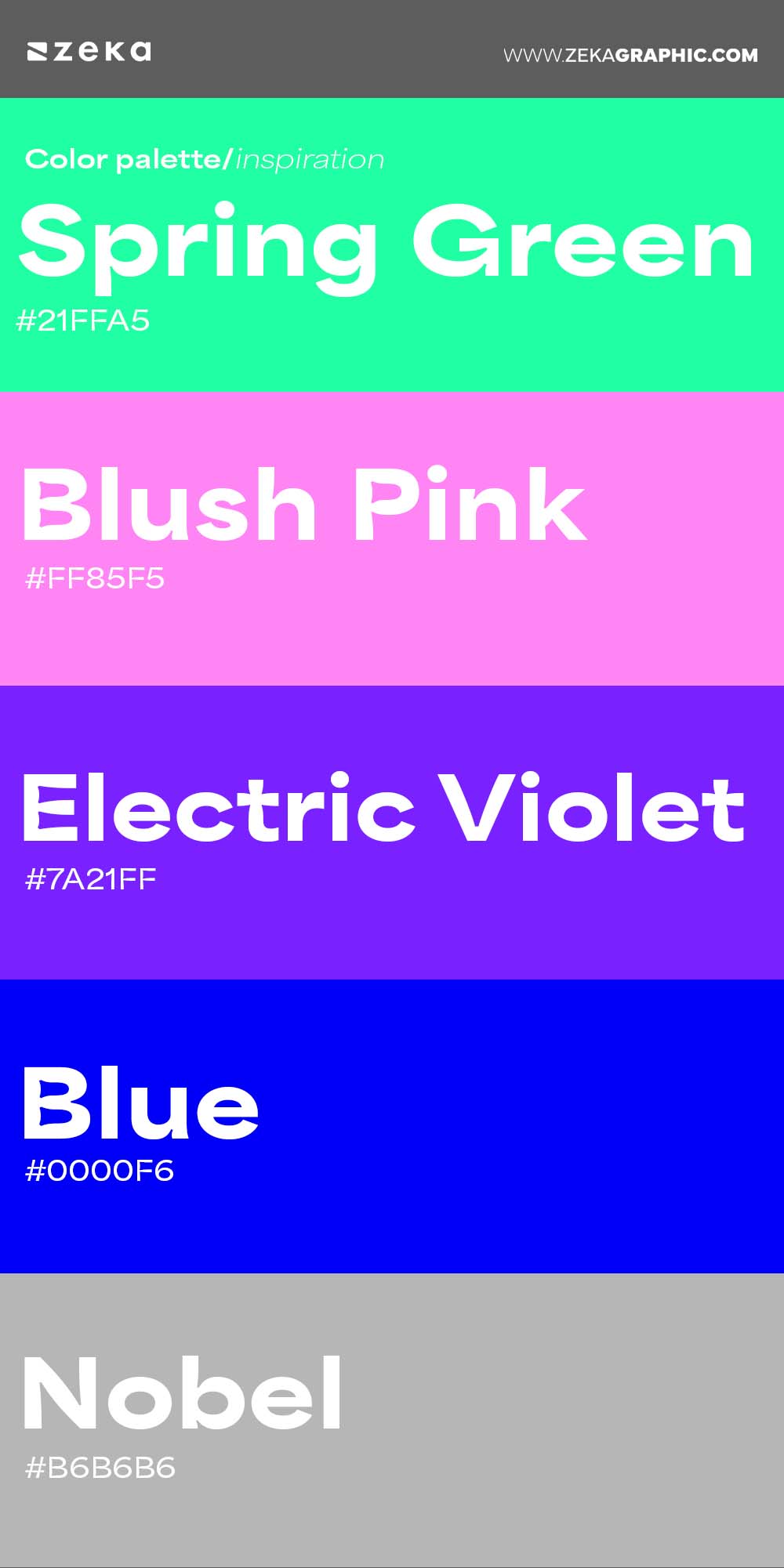 Color Palette Inspiration 21 #21FFA5 #FF85F5 #7A21FF #0000F6 #B6B6B6