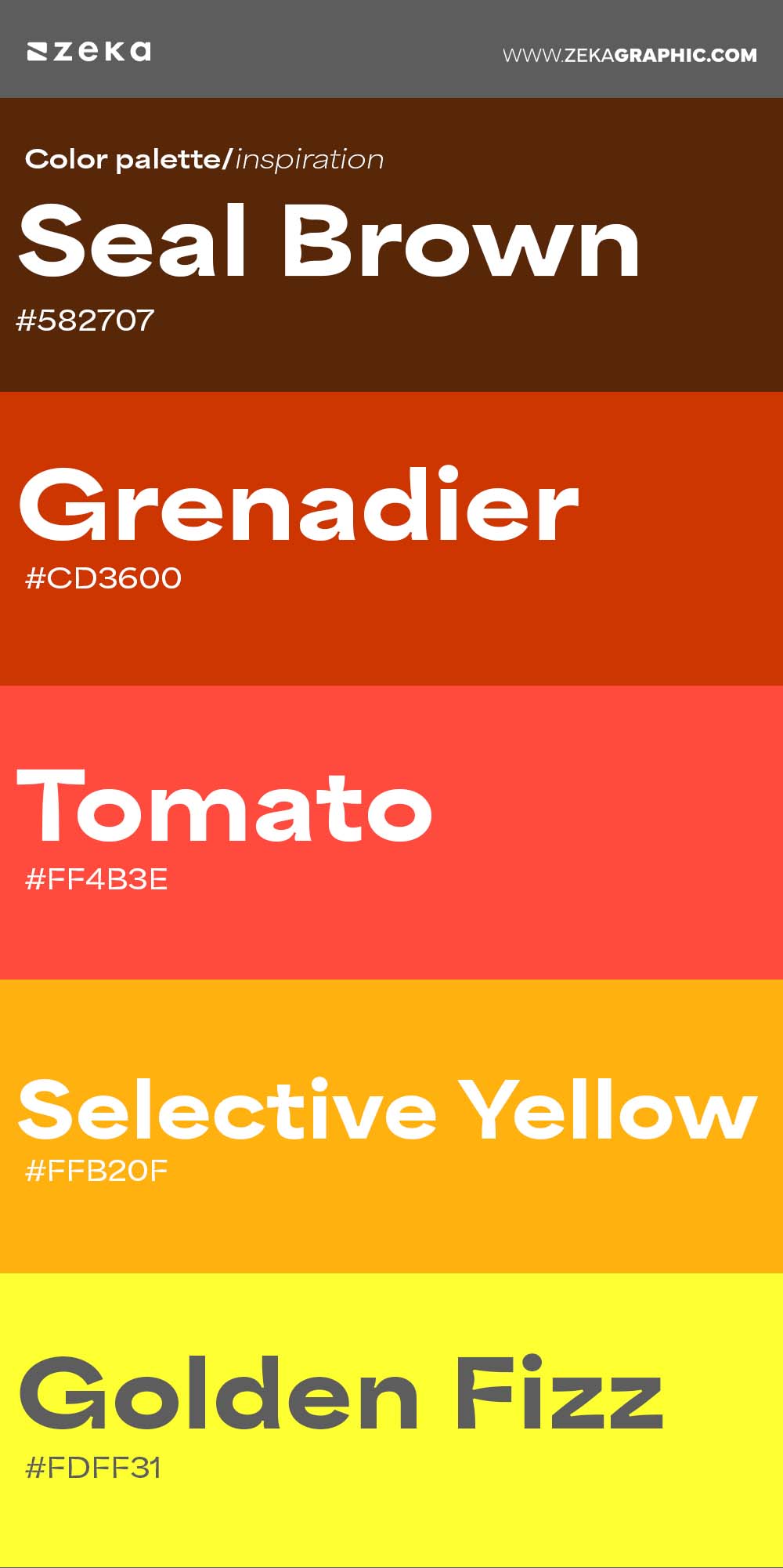Color Palette Inspiration 23 #582707 #CD3600 #FF4B3E #FFB20F #FDFF31