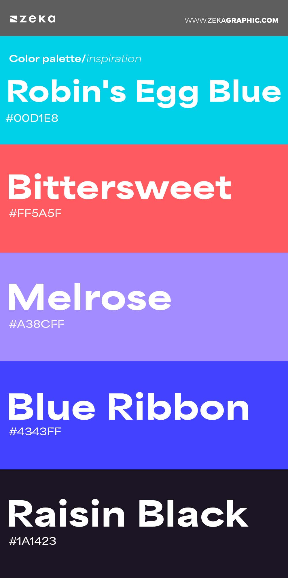 Color Palette Inspiration 29 #00D1E8 #FF5A5F #A38CFF #4343FF