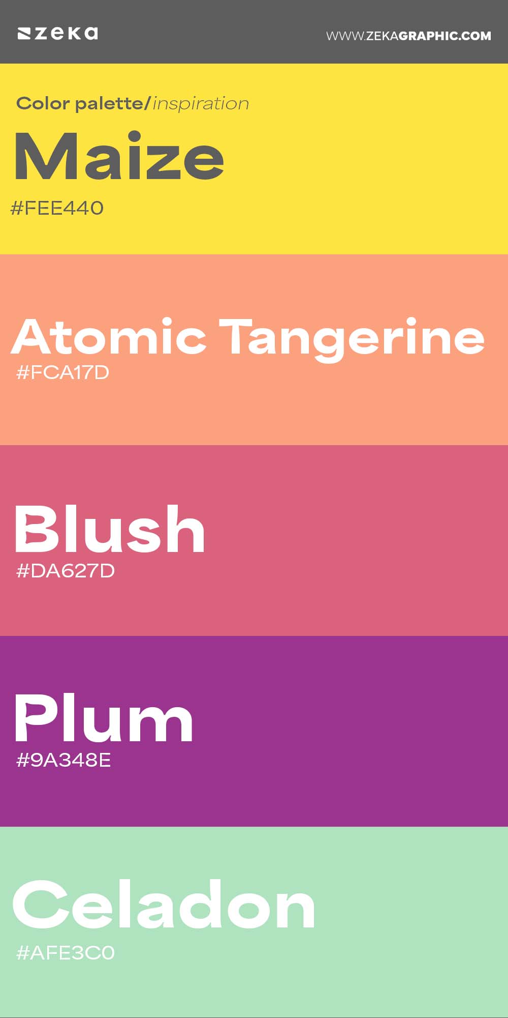 Color Palette Inspiration 4 #FEE440 #FCA17D #DA627D #9A348E #AFE3C0