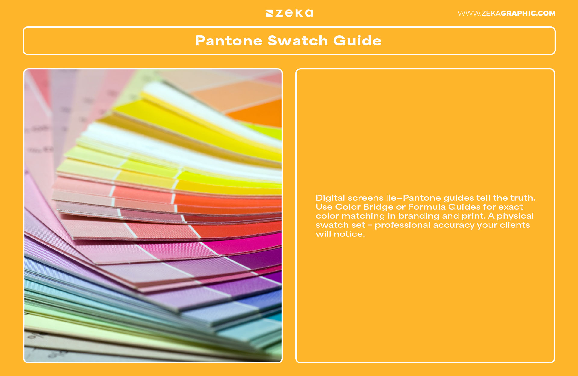 Everything You Need for Your Home Office as a Freelancer Pantone Swatch Guide