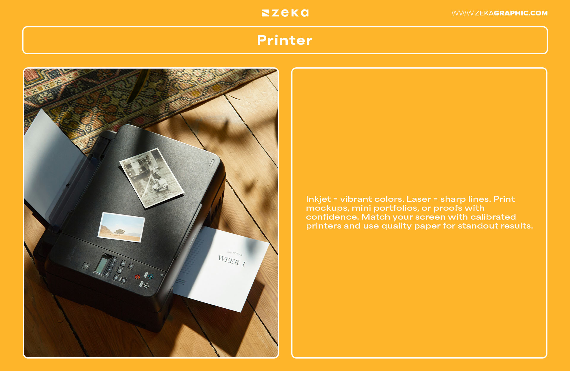 Everything You Need for Your Home Office as a Freelancer Printer