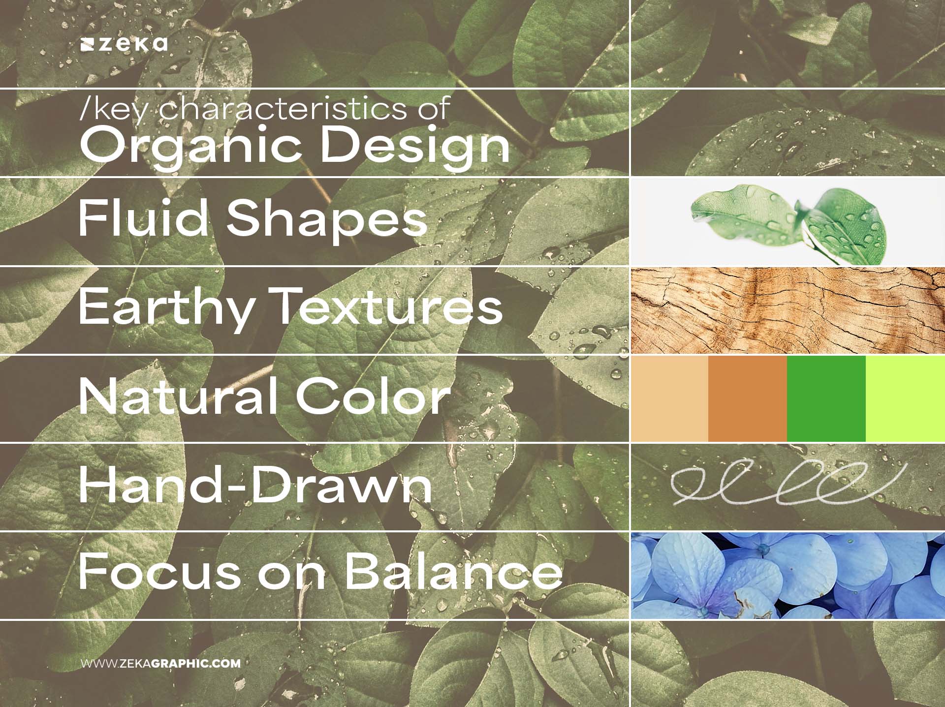 Key Characteristics of Organic Design