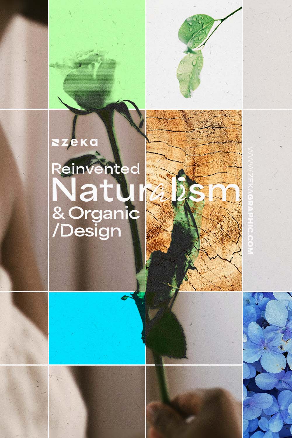Organic Design in Graphic Design