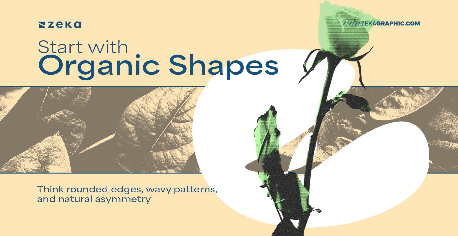 Organic Design Tips Start with Organic Shapes