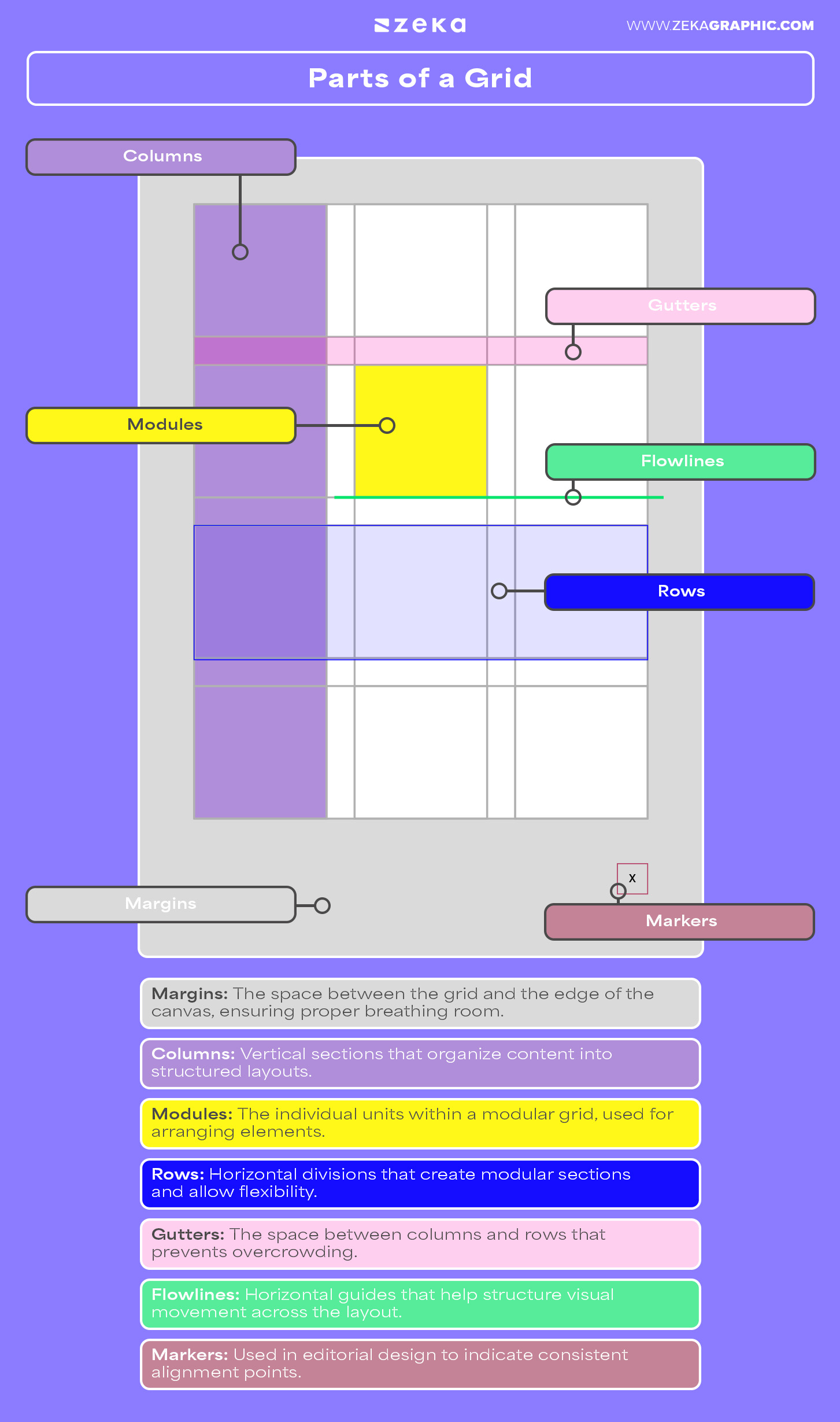Parts of a Grid in Graphic Design Infographic
