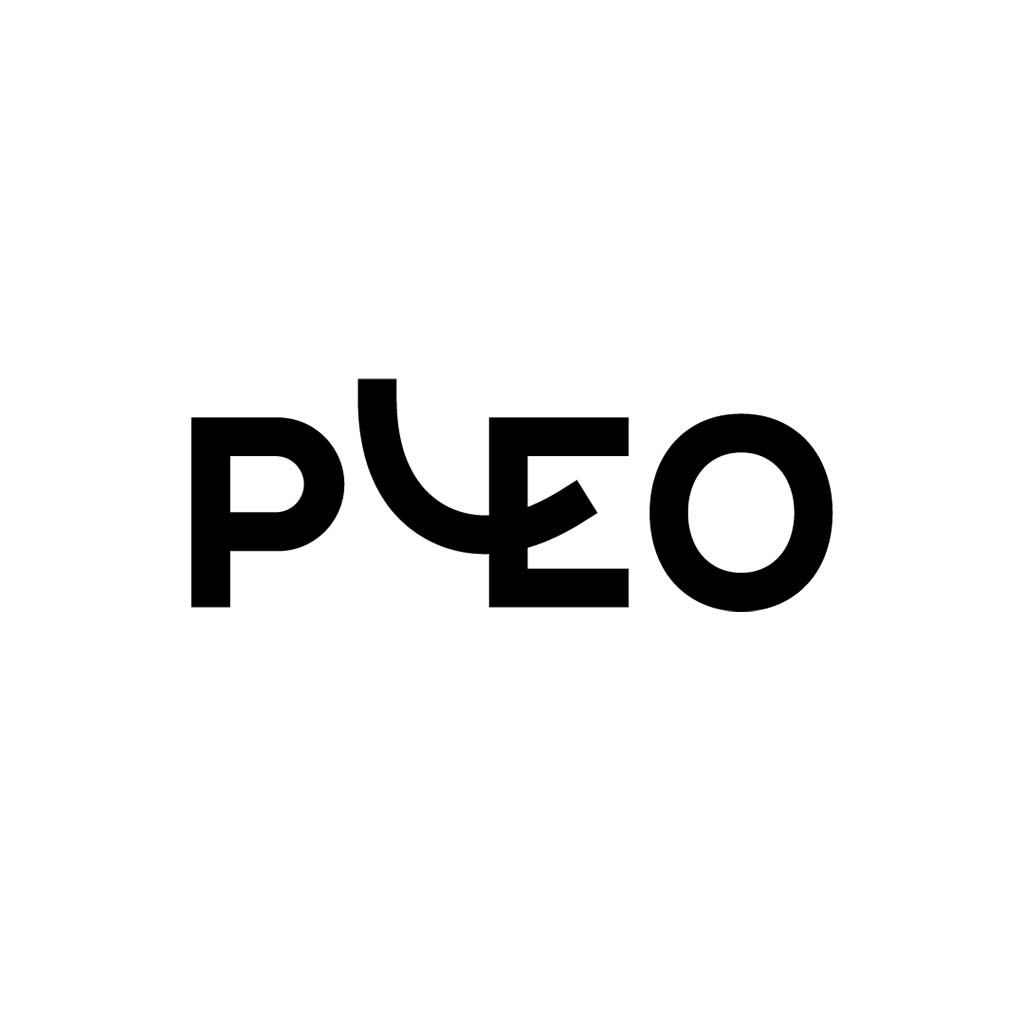 Shapes Integrated with Typography Logo Pleo