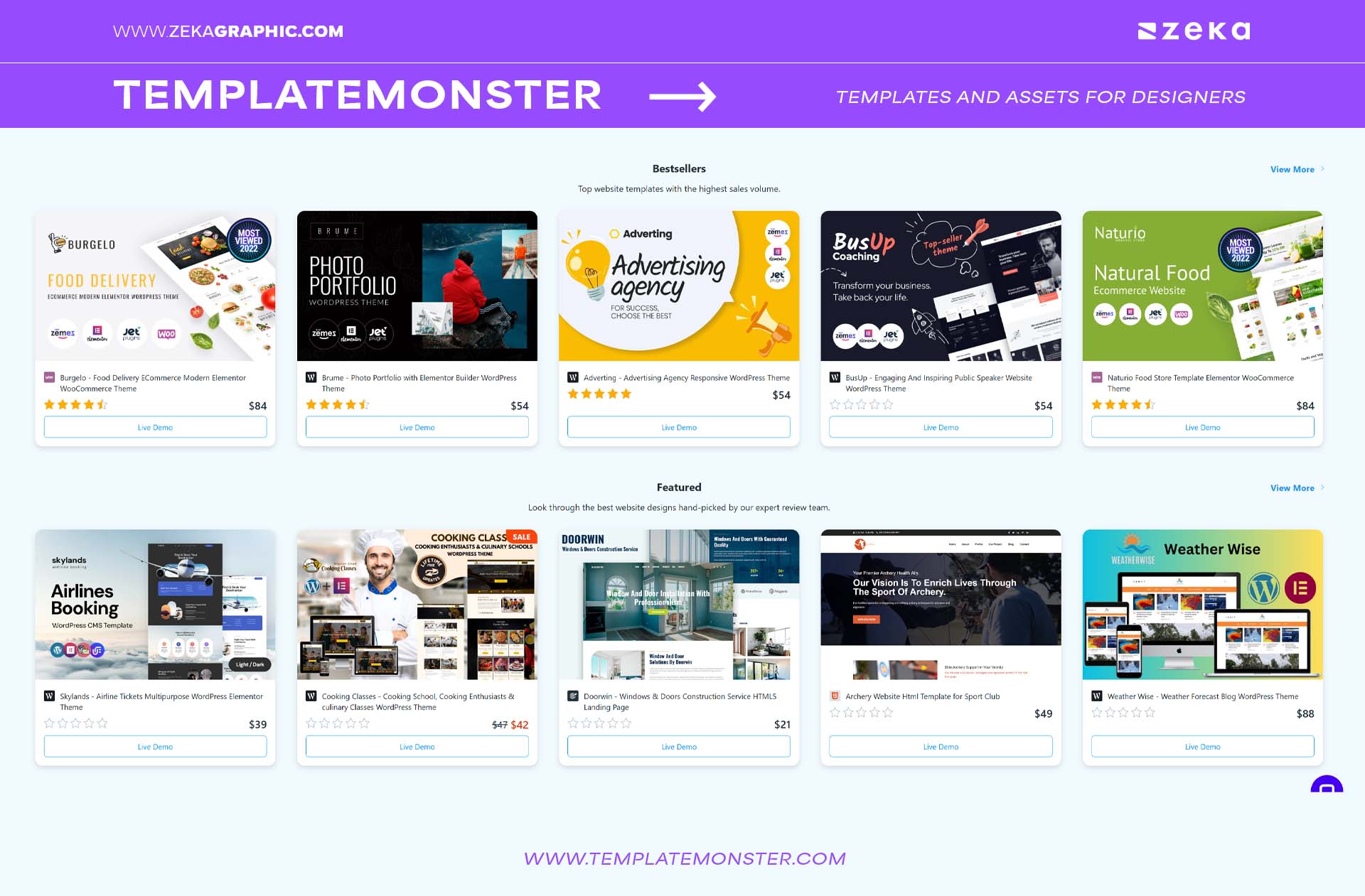 TemplateMonster Templates and Assets for Designers_