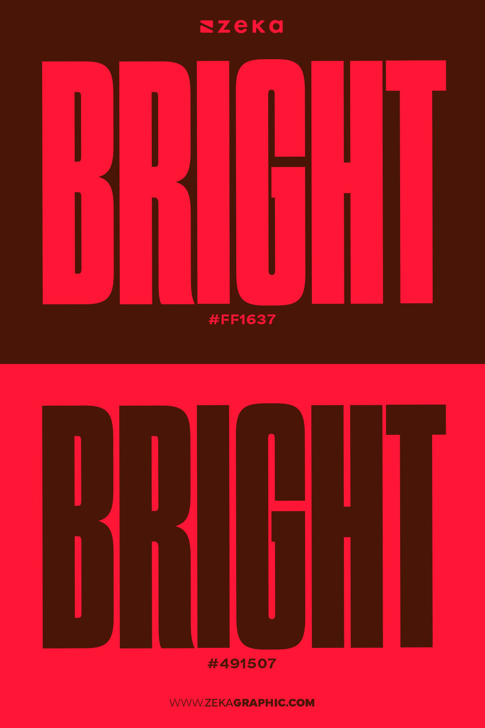 Vibrant Color Combinations That Work #ff1637 #491507